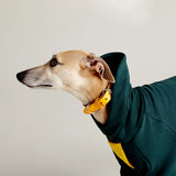 Thick cotton hoodie TANKER BASE duotone