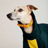 Thick cotton hoodie TANKER BASE duotone
