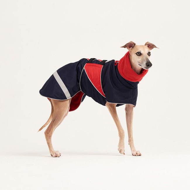 Demi-season waterproof coat with a hood for hounds