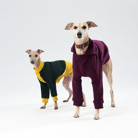 Thick cotton Sweatshirt TANKER BASE color block