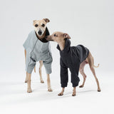 Designer trench coat for hounds TOFFE URBAN
