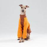 Thick cotton Sweatshirt TANKER BASE color block