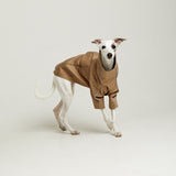 Designer trench coat for hounds TOFFE URBAN Beige