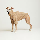Designer trench coat for hounds TOFFE URBAN Beige