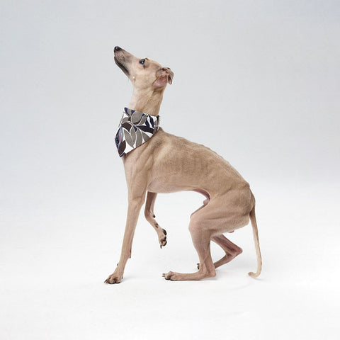 Bandana