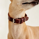 Leather collar CHEDDAR