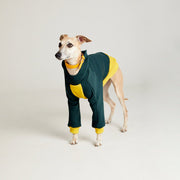 Thick cotton hoodie TANKER BASE duotone