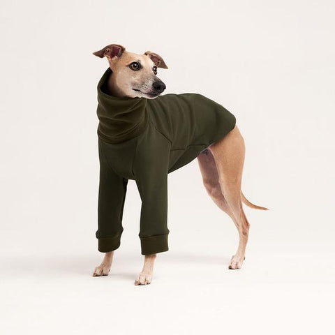 Fleece turtleneck for sighthounds