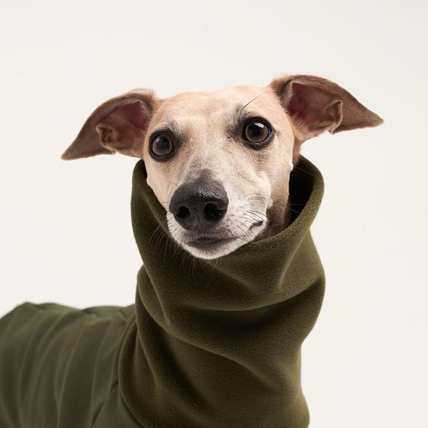 Fleece turtleneck for sighthounds