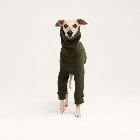 Fleece turtleneck for sighthounds