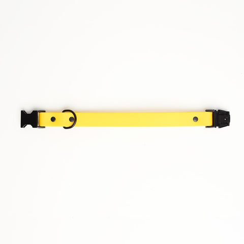 Straight yellow collar biothane with black fastex 20 mm