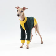 Thick cotton Sweatshirt TANKER BASE color block
