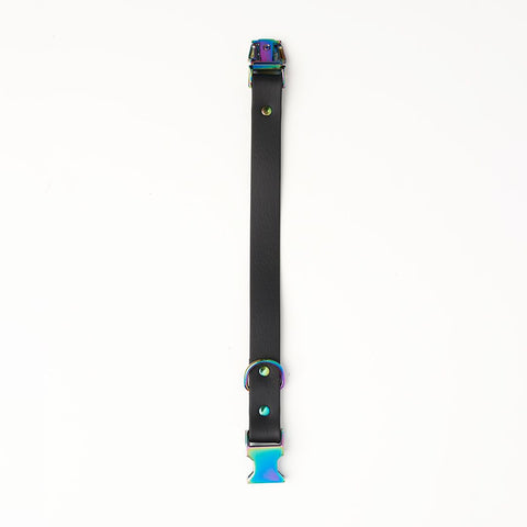Straight Biothane Collar with Petrol Fastex (20)