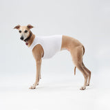 Sports jersey for coursing