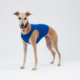 Sports jersey for coursing