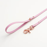 Biothane pink leash with carabiner made of pink gold - 10 mm