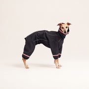 Waterproof Overall with a hood for hounds SKYLINE Light