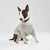 Light Grey cotton Sweatshirt BULLY