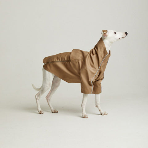 Designer trench coat for hounds TOFFE URBAN Beige
