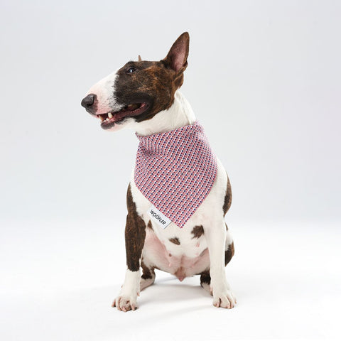 Bandana