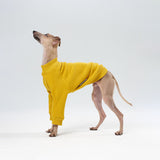 Light cotton Sweatshirt TANKER BASE
