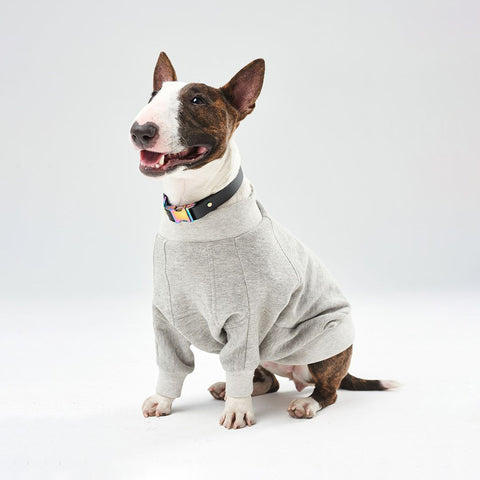 Light Grey cotton Sweatshirt BULLY