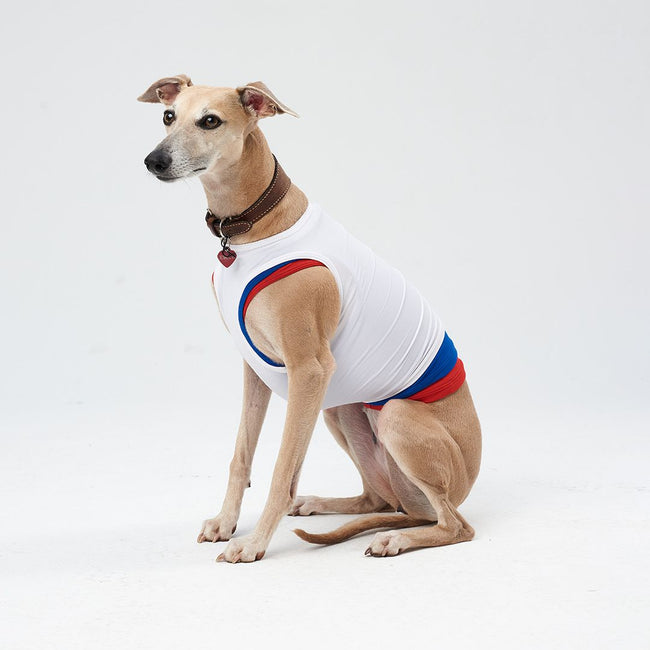 Sports jersey for coursing