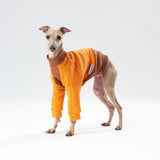 Thick cotton Sweatshirt TANKER BASE color block