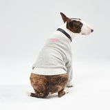 Light Grey cotton Sweatshirt BULLY