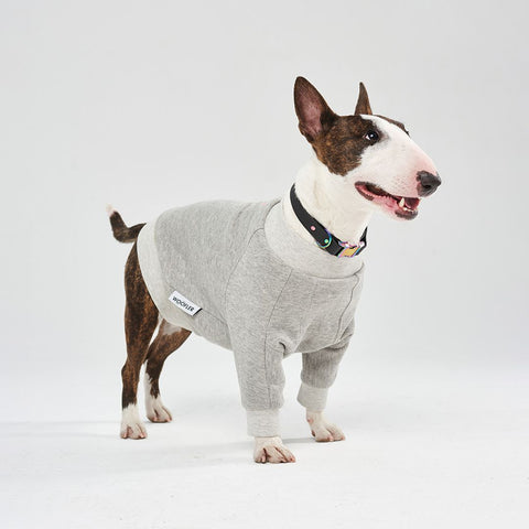 Light Grey cotton Sweatshirt BULLY