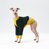 Thick cotton Sweatshirt TANKER BASE color block